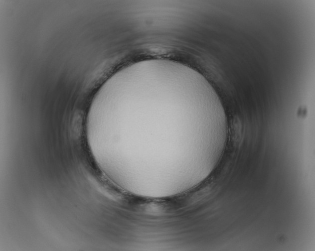 X0000112210412200909041346