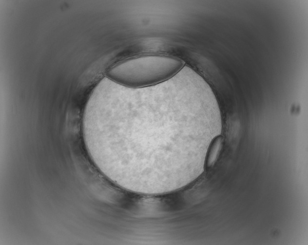 X0000112210413200909041346