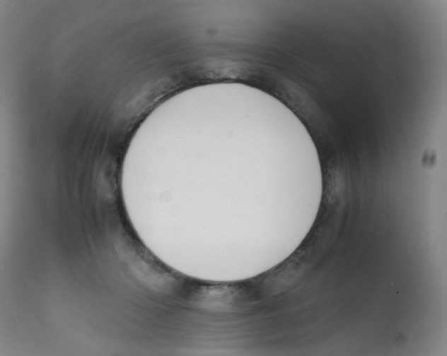 X0000112210414200909041346