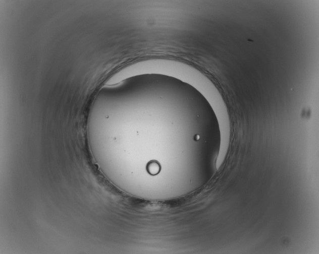 X0000112210415200909041346