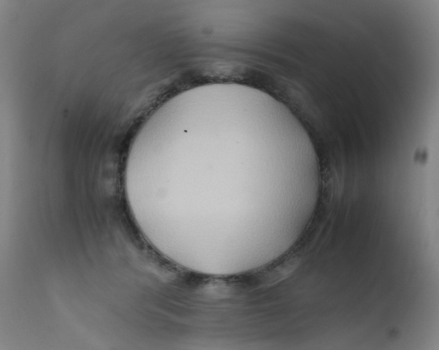 X0000112210416200909041346