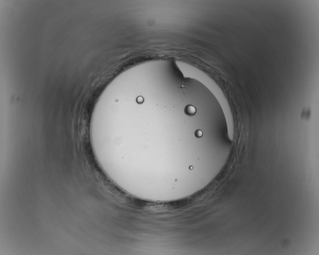 X0000112210417200909041346