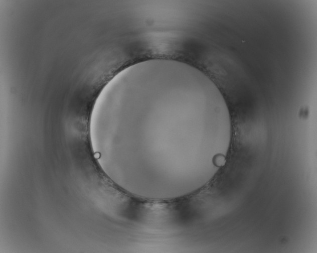 X0000112210419200909041346