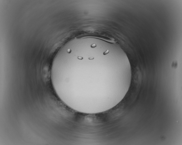 X0000112210420200909041346