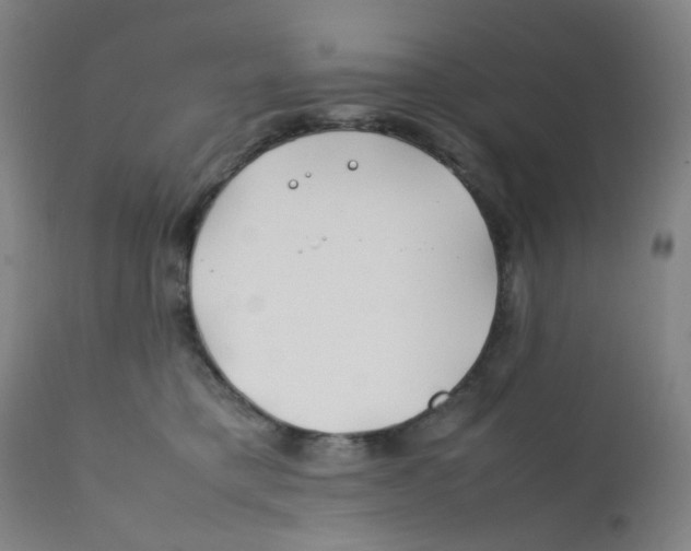 X0000112210421200909041346