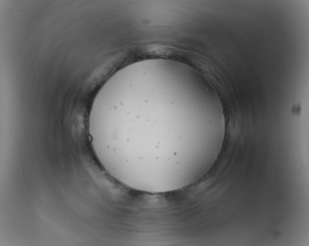 X0000112210424200909041345