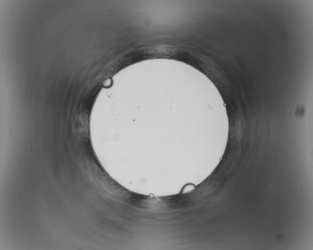 X0000112210425200909041345