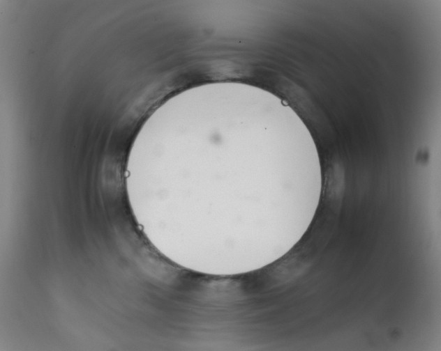 X0000112210426200909041345