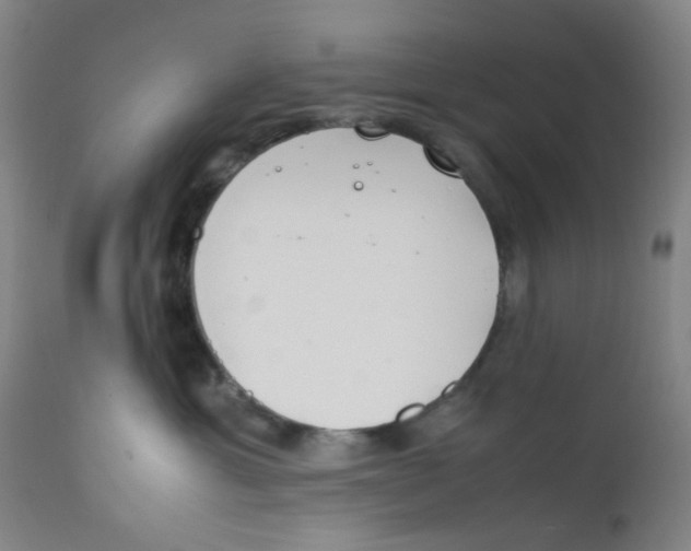 X0000112210429200909041345