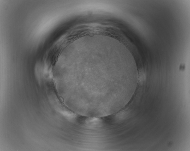 X0000112210431200909041345