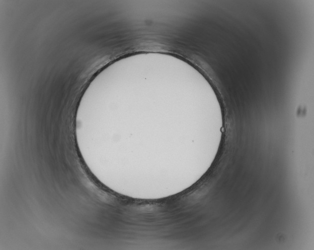 X0000112210433200909041345