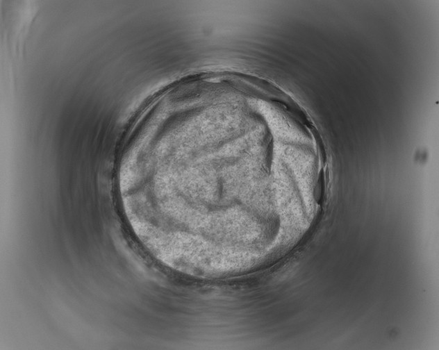X0000112210434200909041345