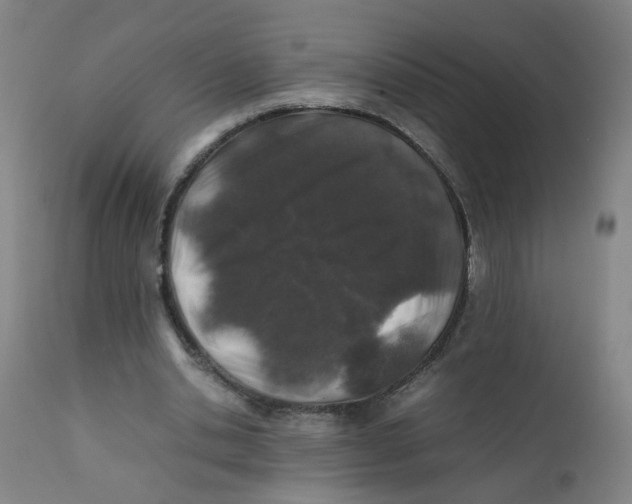 X0000112210438200909041345