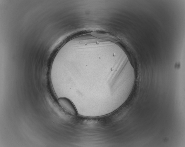 X0000112210440200909041345