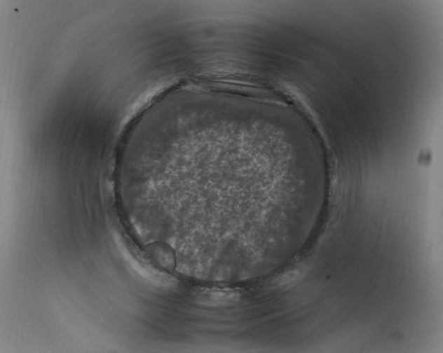 X0000112210443200909041345
