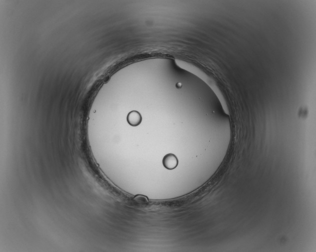X0000112210444200909041345