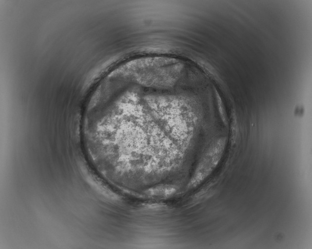 X0000112210446200909041345
