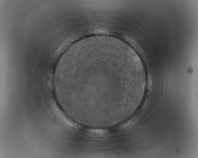 X0000112210449200909041345