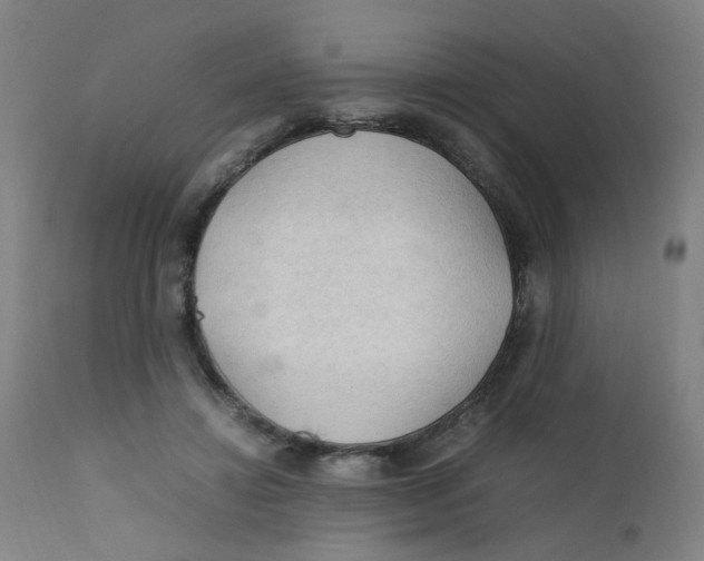 X0000112210452200909041345