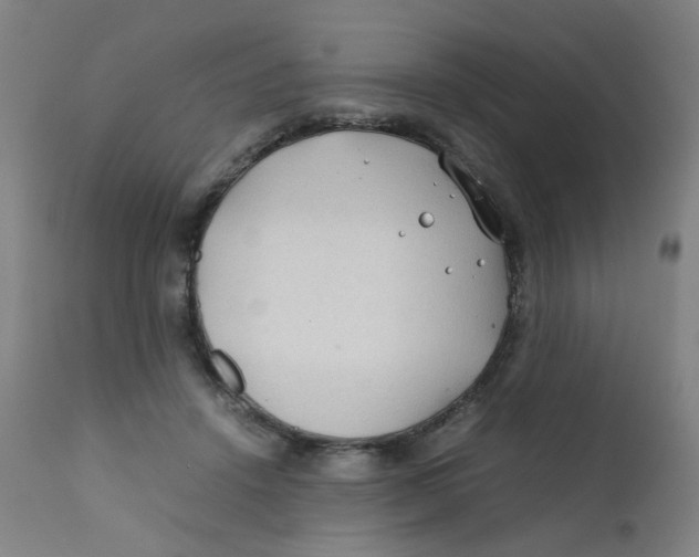 X0000112210456200909041345