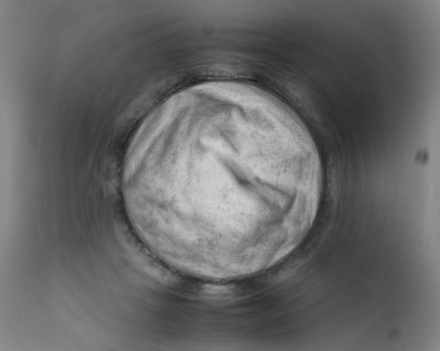 X0000112210457200909041345