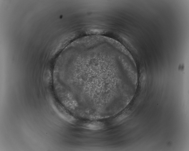X0000112210459200909041345