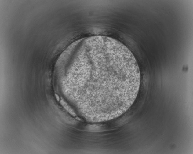 X0000112210461200909041345
