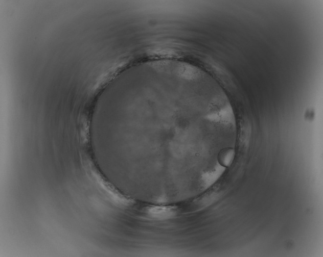 X0000112210465200909041345