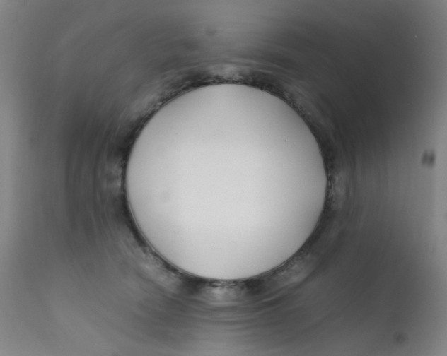 X0000112210466200909041345