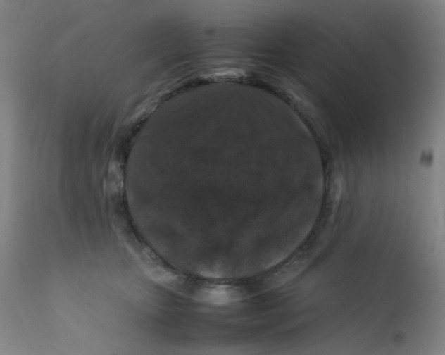 X0000112210467200909041345