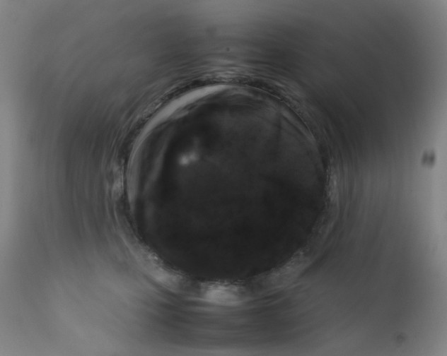 X0000112210471200909041345