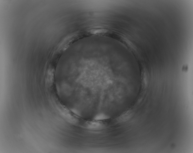 X0000112210475200909041345