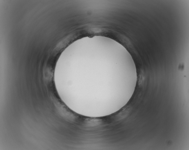 X0000112210476200909041345