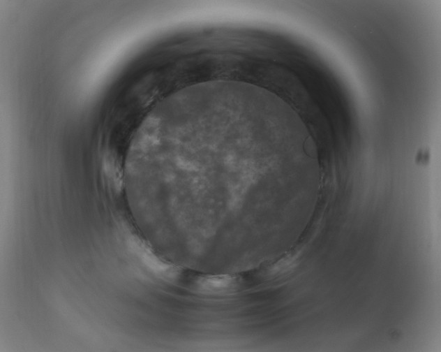 X0000112210479200909041345