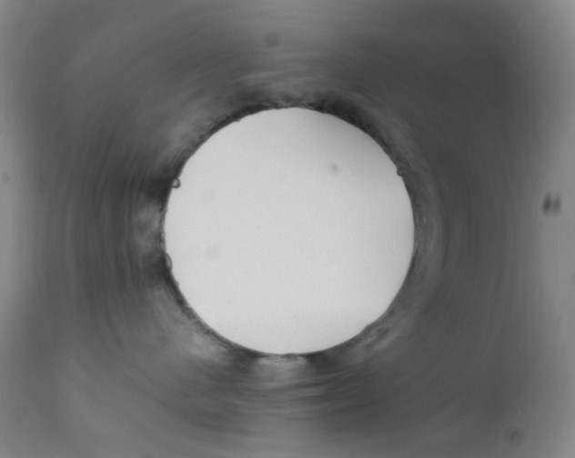 X0000112210480200909041345