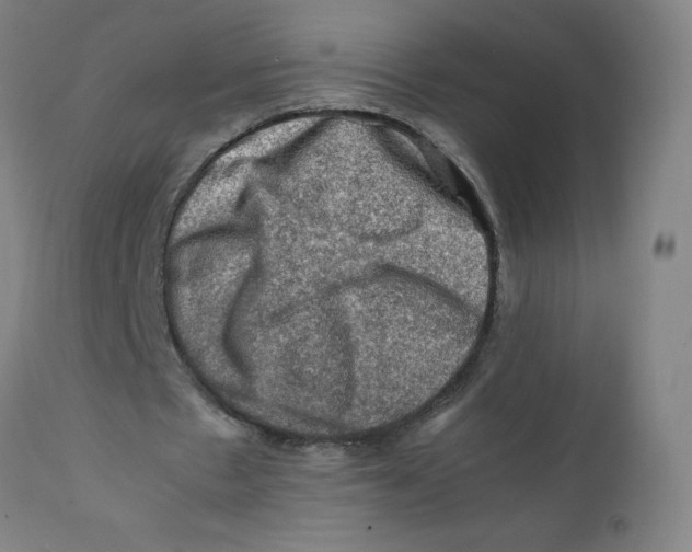 X0000112210481200909041345