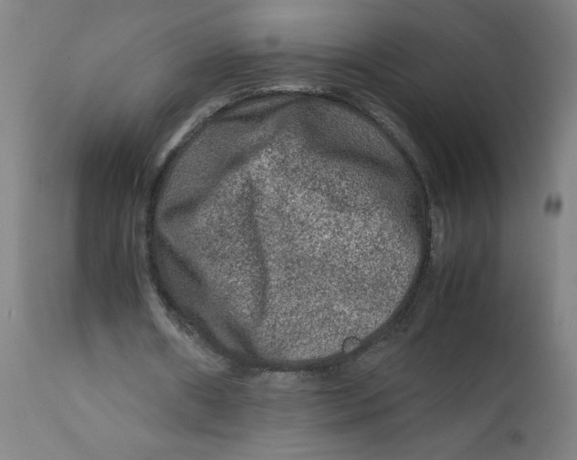X0000112210482200909041345