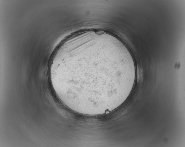X0000112210483200909041345