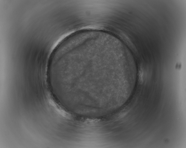 X0000112210484200909041345