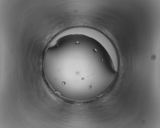 X0000112210489200909041345