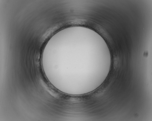 X0000112210490200909041345