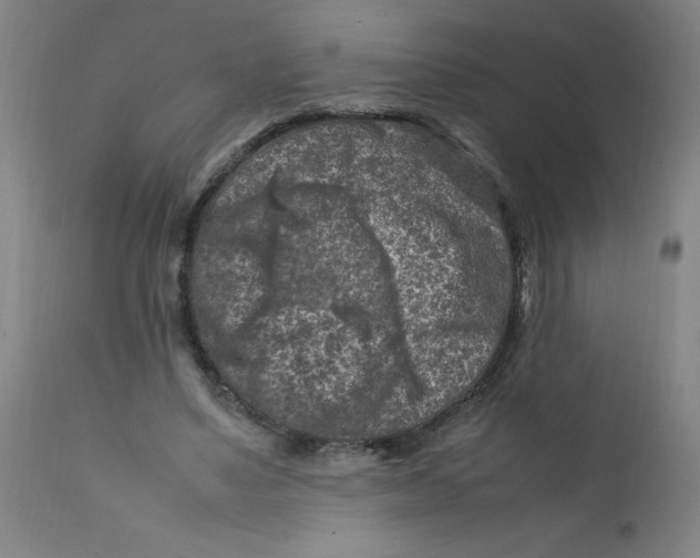 X0000112210491200909041345