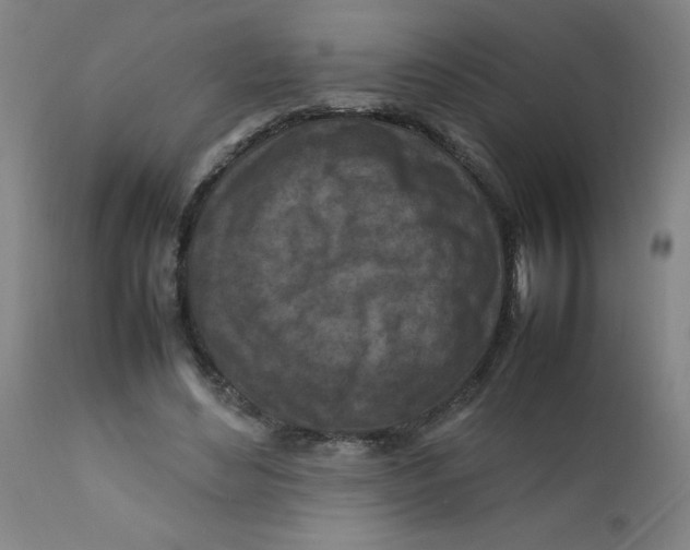 X0000112210492200909041345