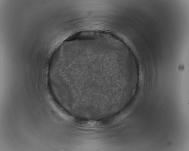 X0000112210493200909041345