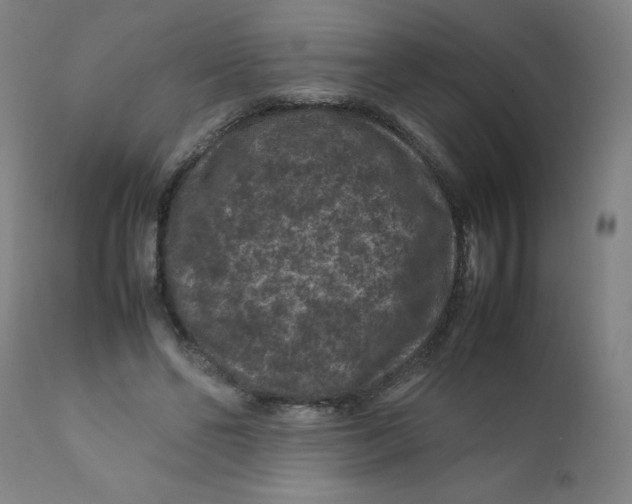 X0000112210494200909041345