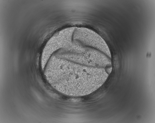 X0000112210495200909041344