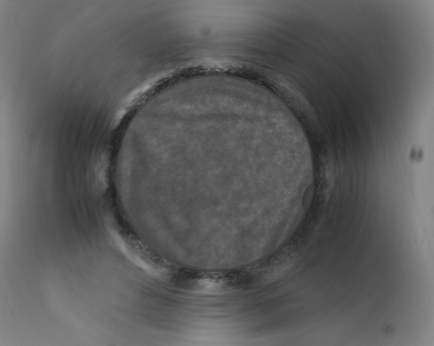 X0000112210496200909041344