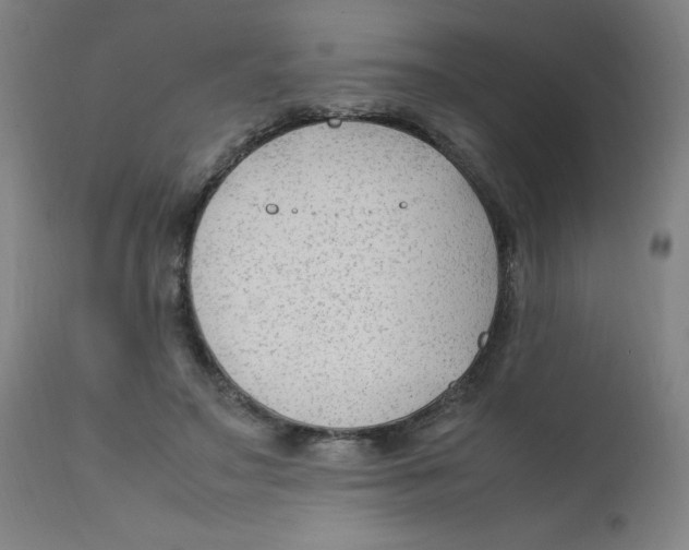 X0000112210499200909041344