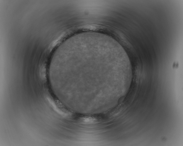 X0000112210500200909041344