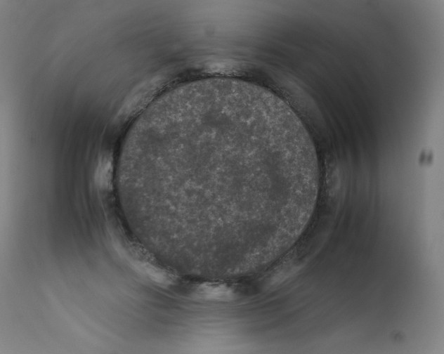 X0000112210502200909041344
